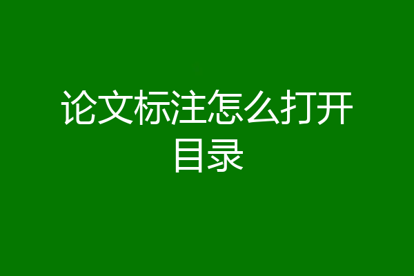 论文标注怎么打开目录
