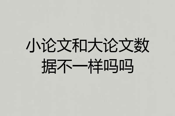 小论文和大论文数据不一样吗吗