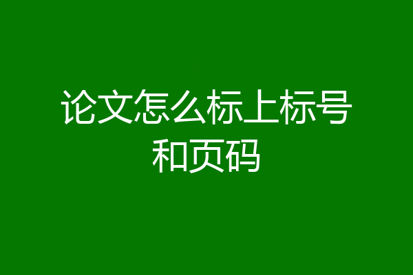 论文怎么标上标号和页码