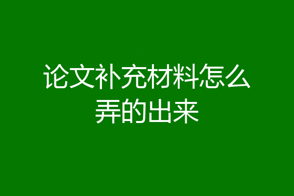 论文补充材料怎么弄的出来