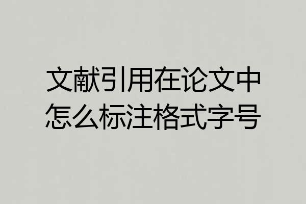文献引用在论文中怎么标注格式字号