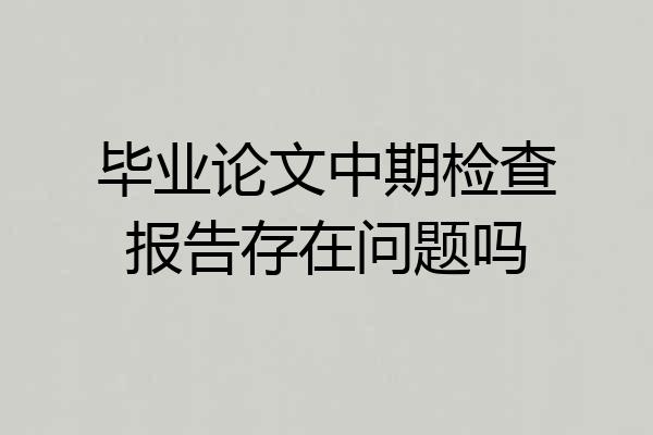 毕业论文中期检查报告存在问题吗