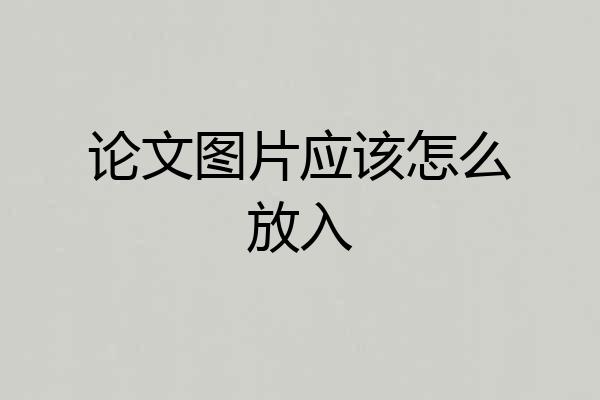 论文图片应该怎么放入