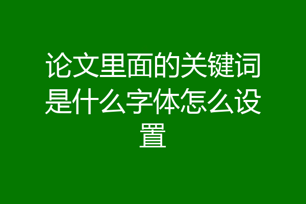 论文里面的关键词是什么字体怎么设置