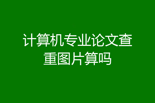 计算机专业论文查重图片算吗
