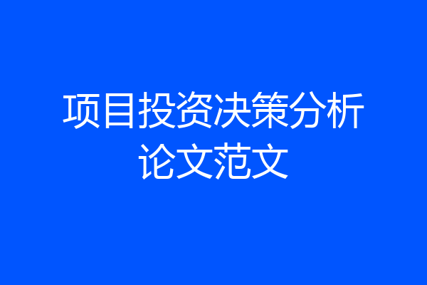 项目投资决策分析论文范文