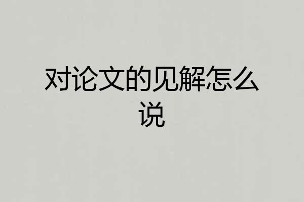 对论文的见解怎么说