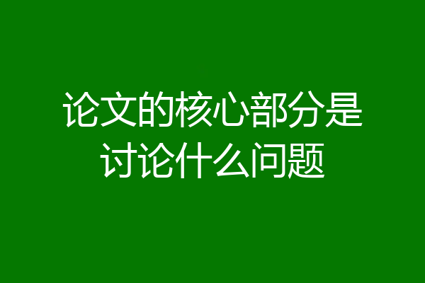 论文的核心部分是讨论什么问题
