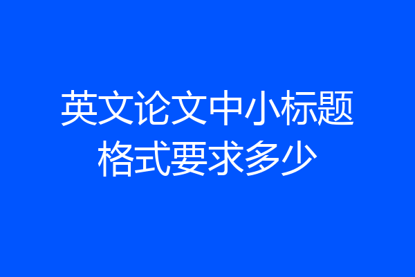 英文论文中小标题格式要求多少