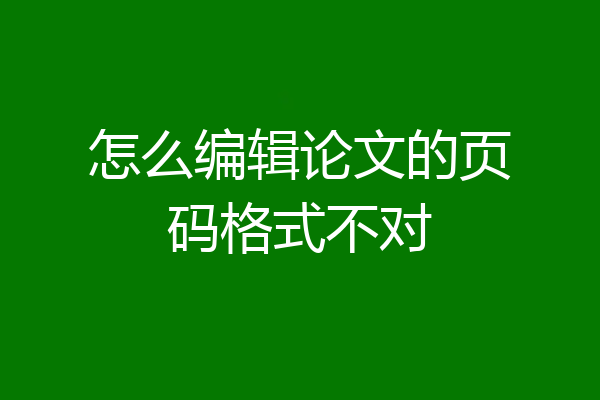 怎么编辑论文的页码格式不对