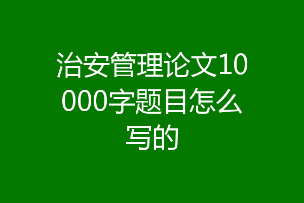 治安管理论文10000字题目怎么写的