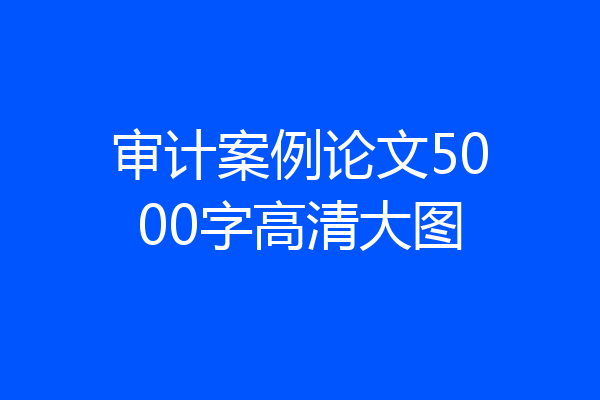 审计案例论文5000字高清大图