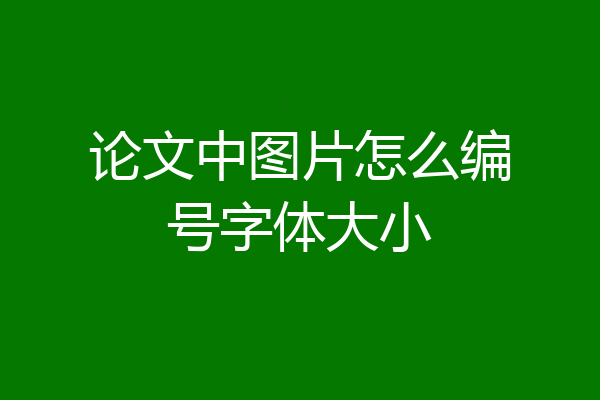 论文中图片怎么编号字体大小