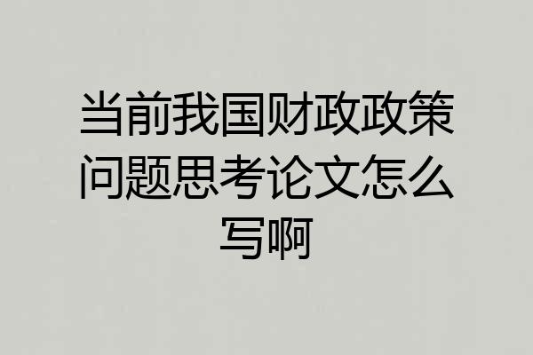当前我国财政政策问题思考论文怎么写啊
