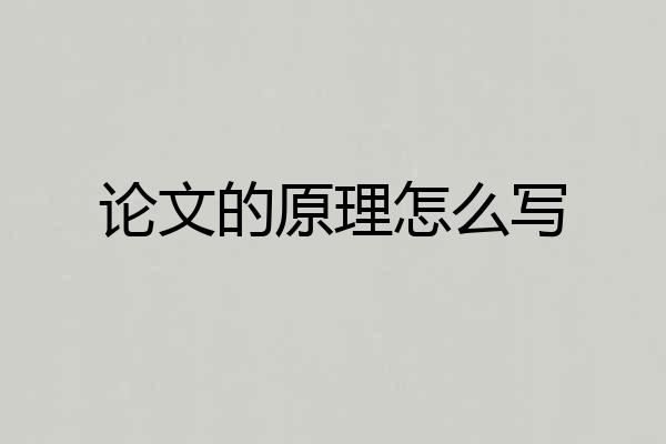 论文的原理怎么写