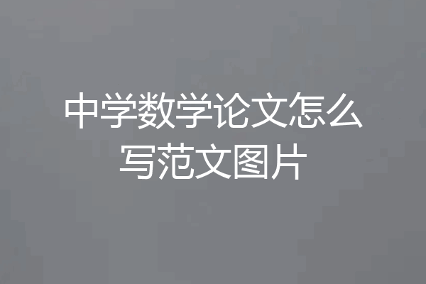 中学数学论文怎么写范文图片