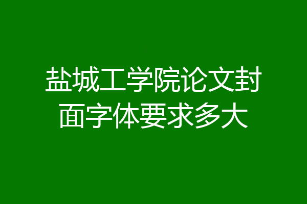 盐城工学院论文封面字体要求多大