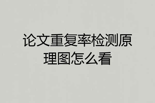 论文重复率检测原理图怎么看