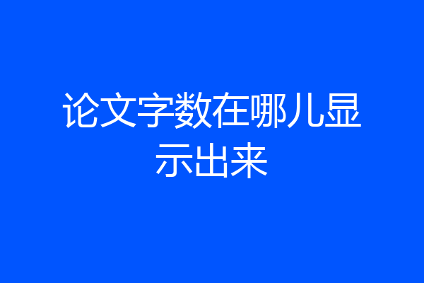 论文字数在哪儿显示出来