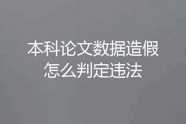 本科论文数据造假怎么判定违法