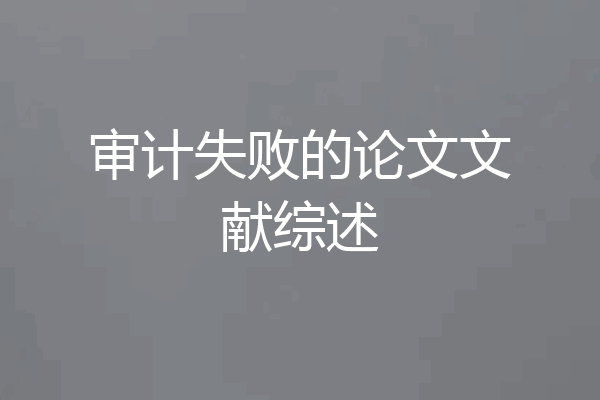 审计失败的论文文献综述