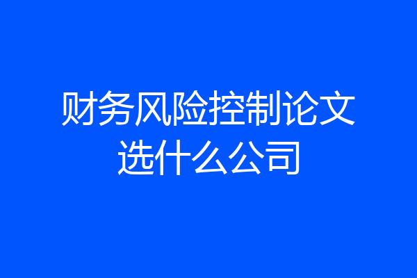 财务风险控制论文选什么公司
