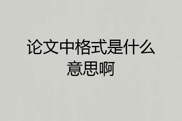 论文中格式是什么意思啊