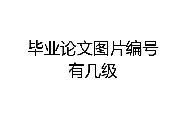 毕业论文图片编号有几级