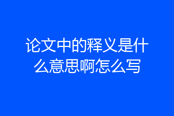 论文中的释义是什么意思啊怎么写