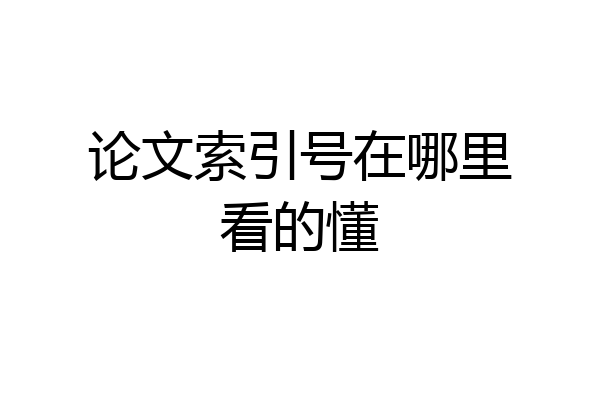 论文索引号在哪里看的懂