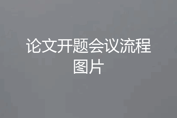 论文开题会议流程图片