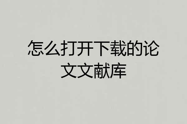 怎么打开下载的论文文献库