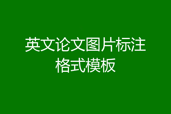 英文论文图片标注格式模板