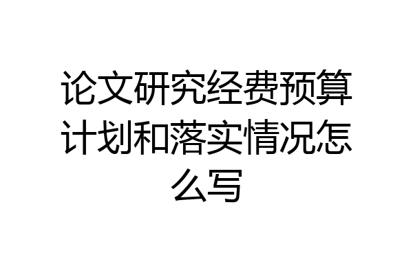 论文研究经费预算计划和落实情况怎么写