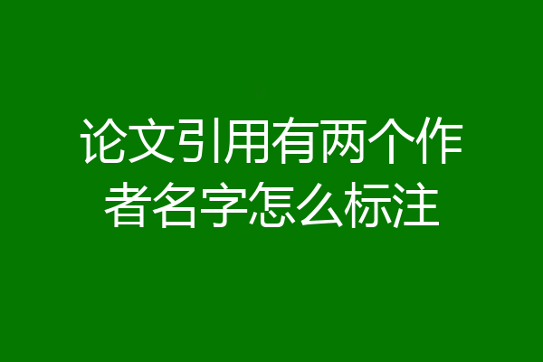 论文引用有两个作者名字怎么标注