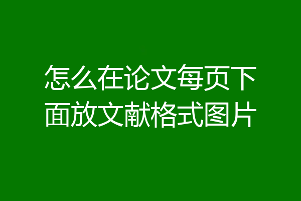 怎么在论文每页下面放文献格式图片
