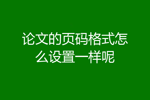 论文的页码格式怎么设置一样呢