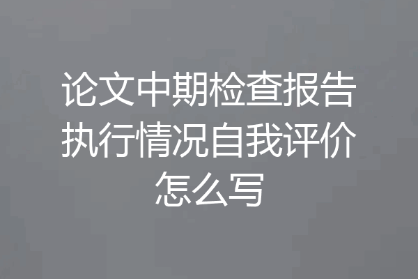论文中期检查报告执行情况自我评价怎么写