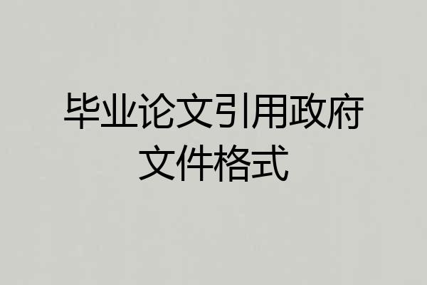 毕业论文引用政府文件格式