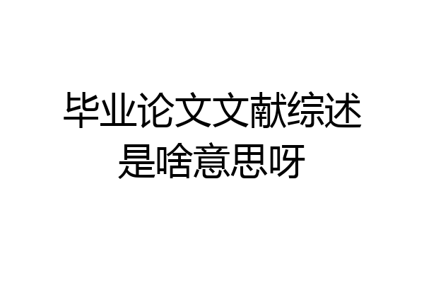 毕业论文文献综述是啥意思呀