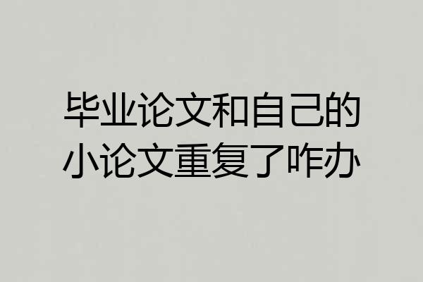 毕业论文和自己的小论文重复了咋办