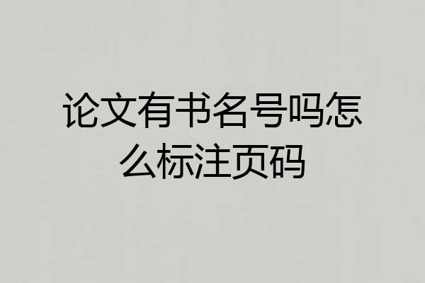 论文有书名号吗怎么标注页码