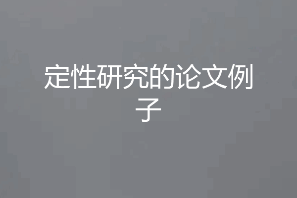 定性研究的论文例子