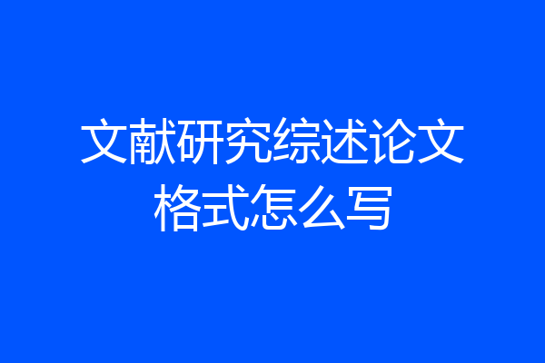 文献研究综述论文格式怎么写