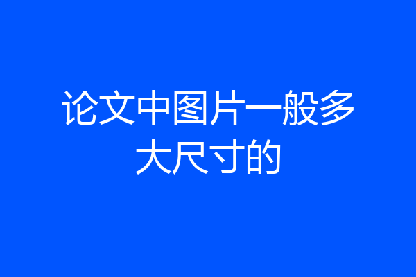论文中图片一般多大尺寸的