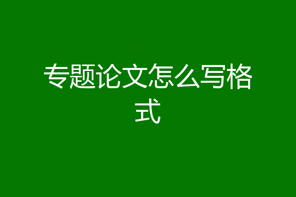 专题论文怎么写格式