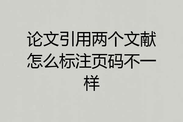 论文引用两个文献怎么标注页码不一样