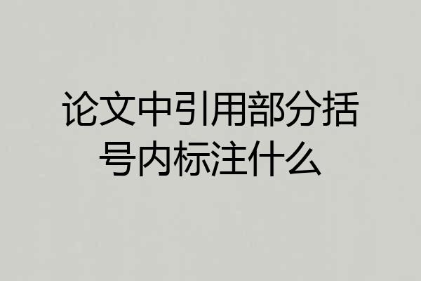 论文中引用部分括号内标注什么