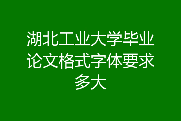 湖北工业大学毕业论文格式字体要求多大