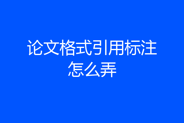 论文格式引用标注怎么弄